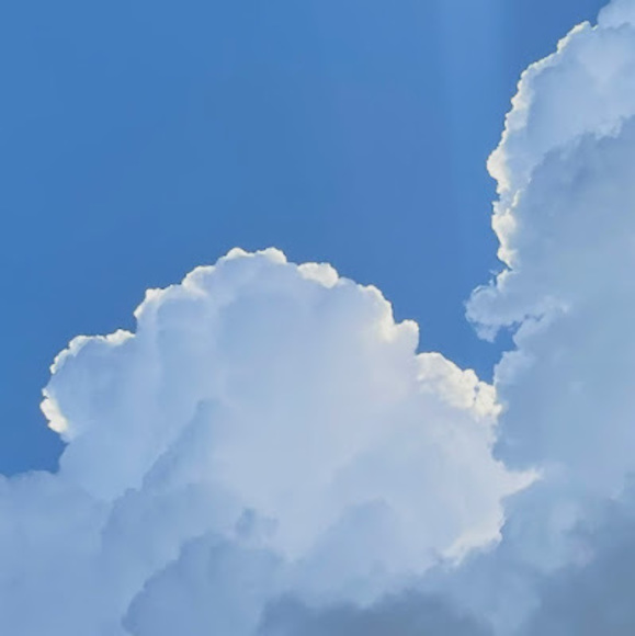 Meet your Posher, Colin - Picture 1 of 1